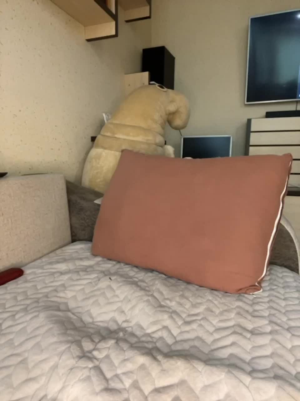 View or download file 1ouise on 2023-07-29 from bongacams