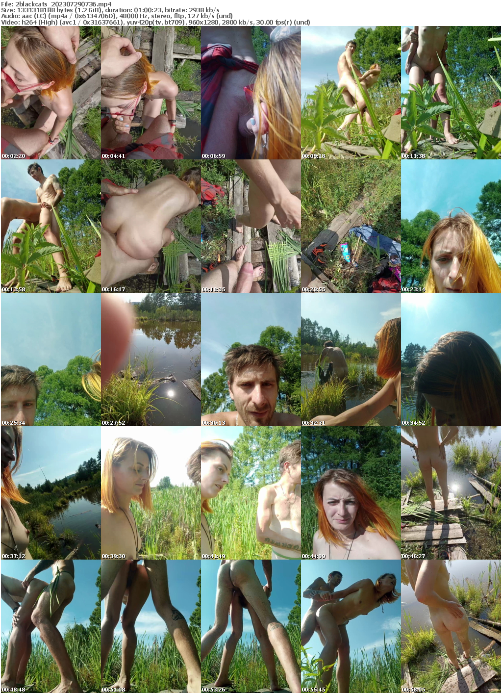 Preview thumb from 2blackcats on 2023-07-29 @ bongacams