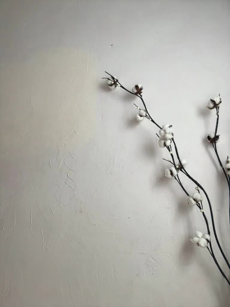 View or download file shawty420 on 2023-07-30 from bongacams