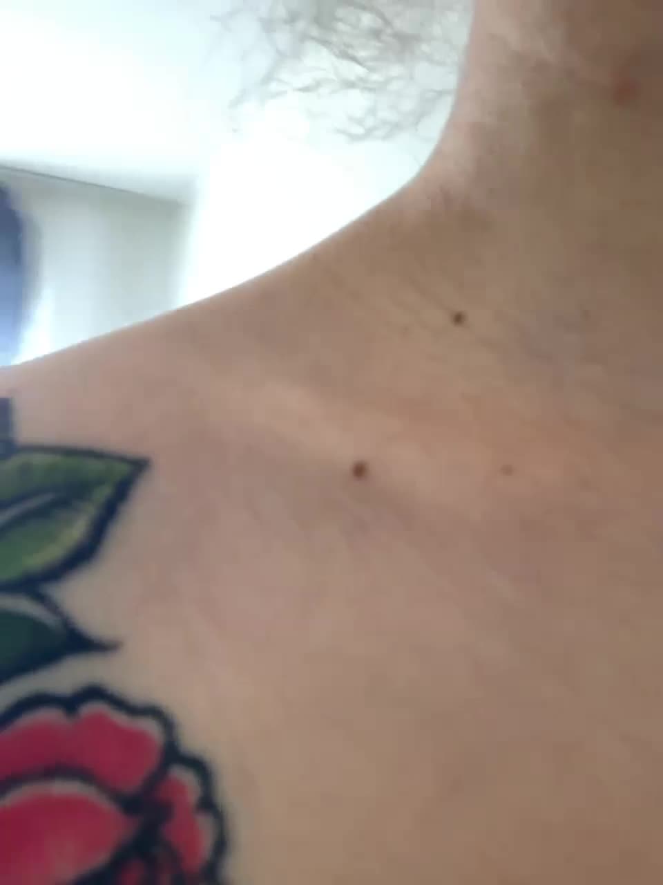 View or download file wow_eva on 2023-07-30 from bongacams