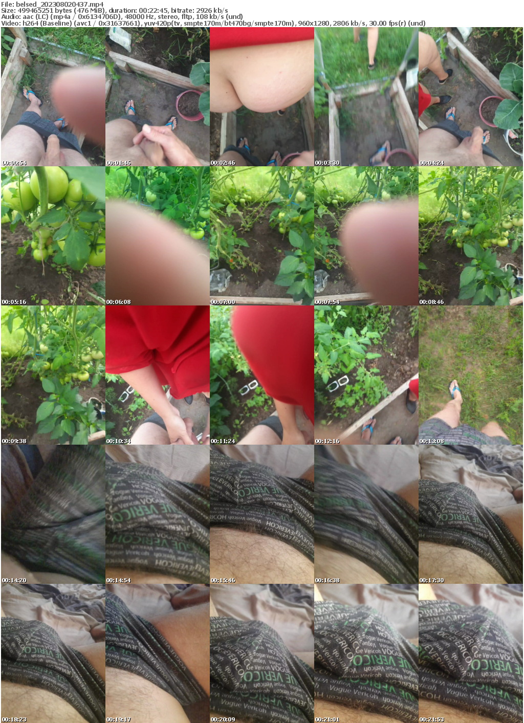 Preview thumb from belsed on 2023-08-02 @ bongacams