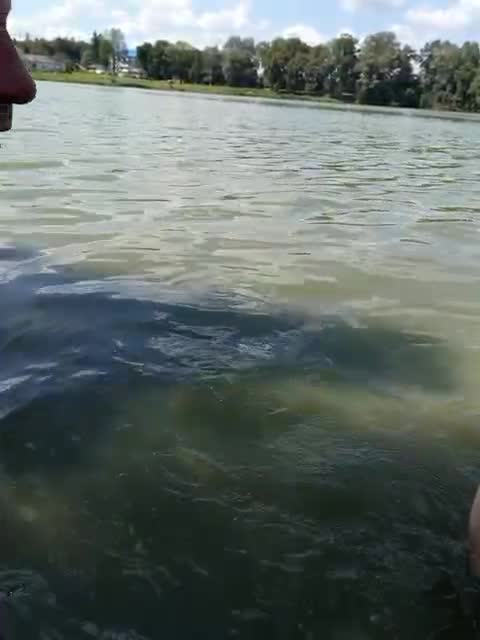 View or download file cindyxerics on 2023-08-03 from bongacams