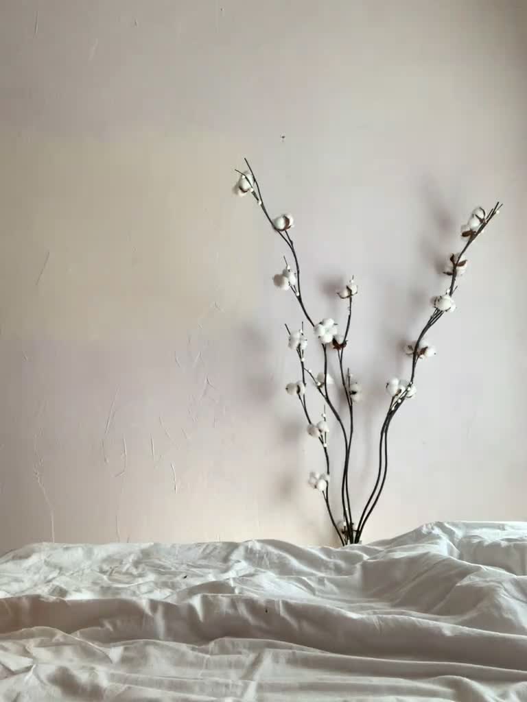 View or download file shawty420 on 2023-08-05 from bongacams