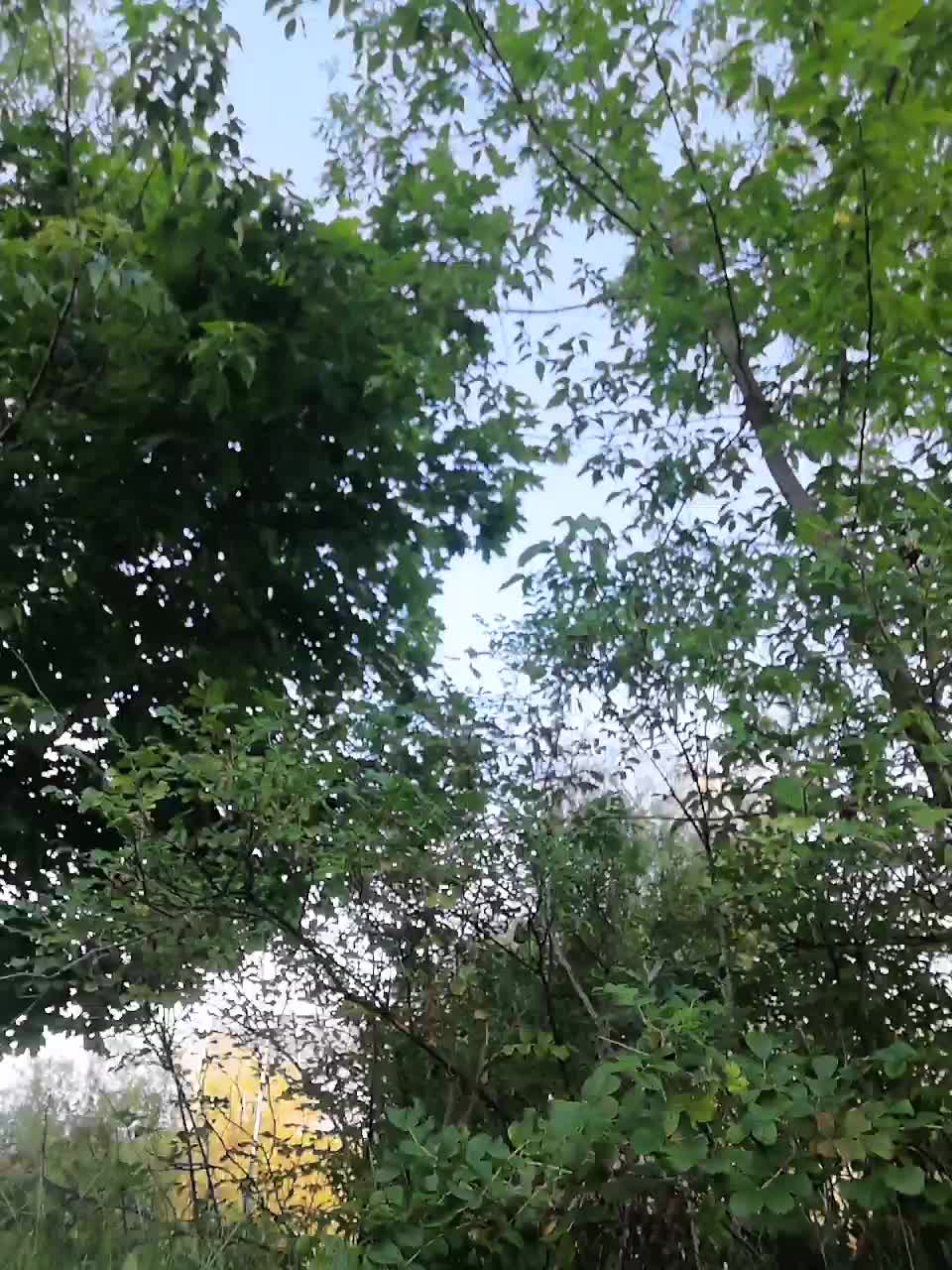 View or download file l4dycandy on 2023-08-06 from bongacams