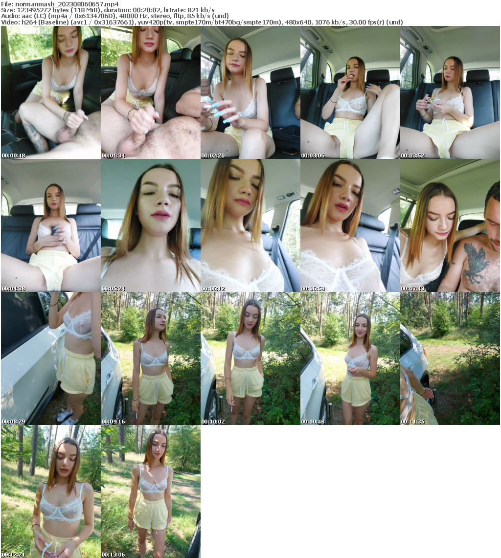 Preview thumb from normanmash on 2023-08-06 @ bongacams