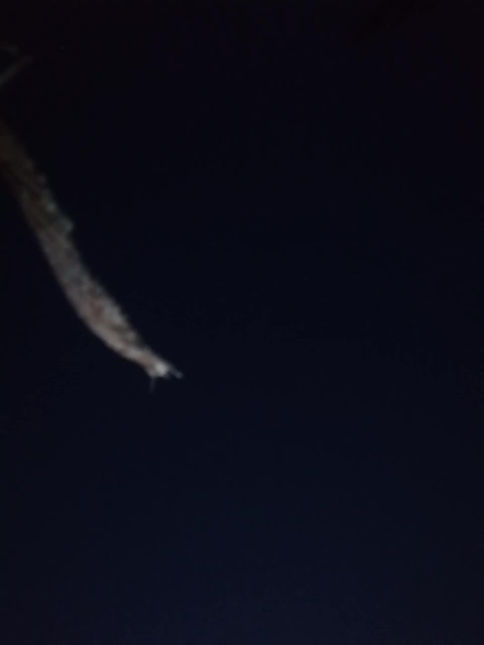 View or download file l4dycandy on 2023-08-07 from bongacams