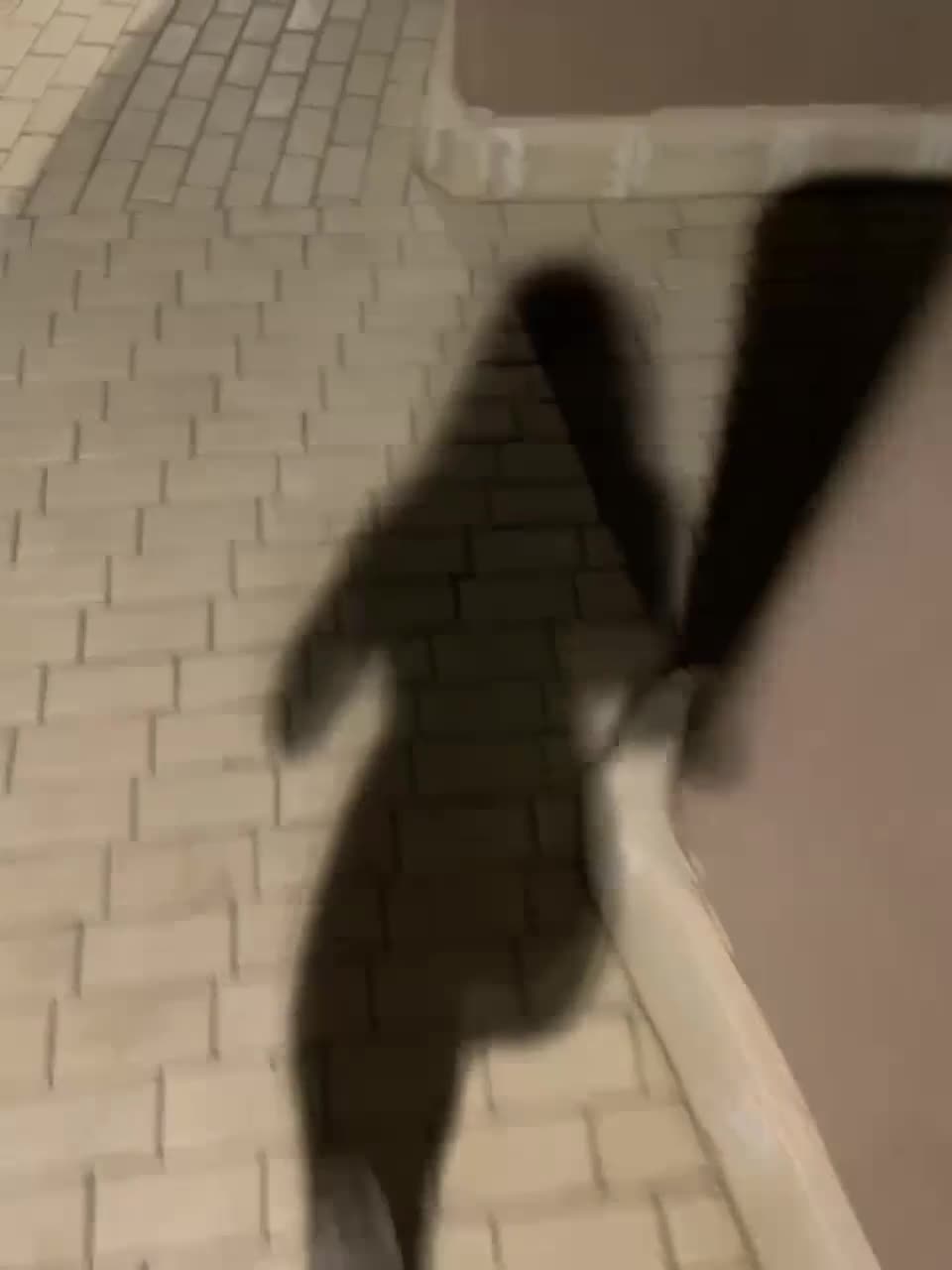 View or download file sweetkira25 on 2023-08-07 from bongacams