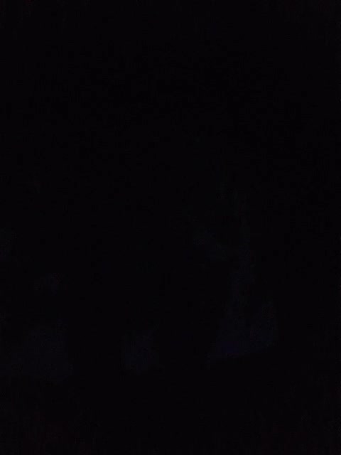 View or download file milaschka95 on 2023-08-08 from bongacams