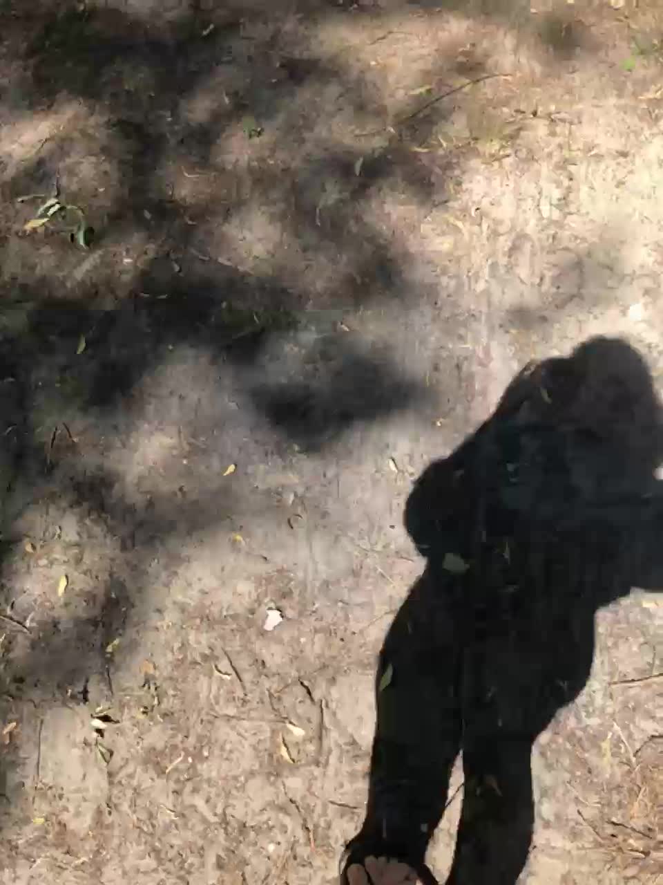 View or download file dima_katya_love on 2023-08-09 from bongacams