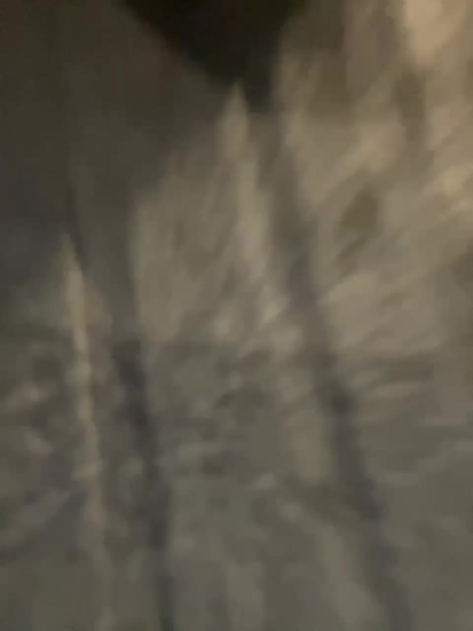 View or download file karolina7 on 2023-08-12 from bongacams