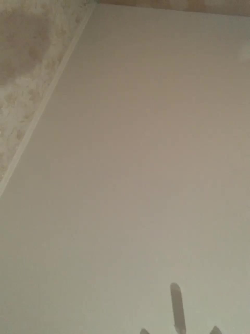 View or download file bomboclatto on 2023-08-13 from bongacams