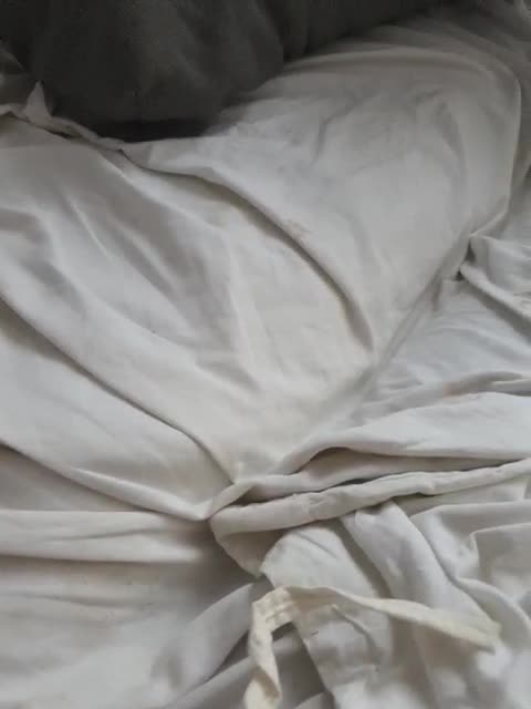 View or download file oksvit1990 on 2023-08-13 from bongacams