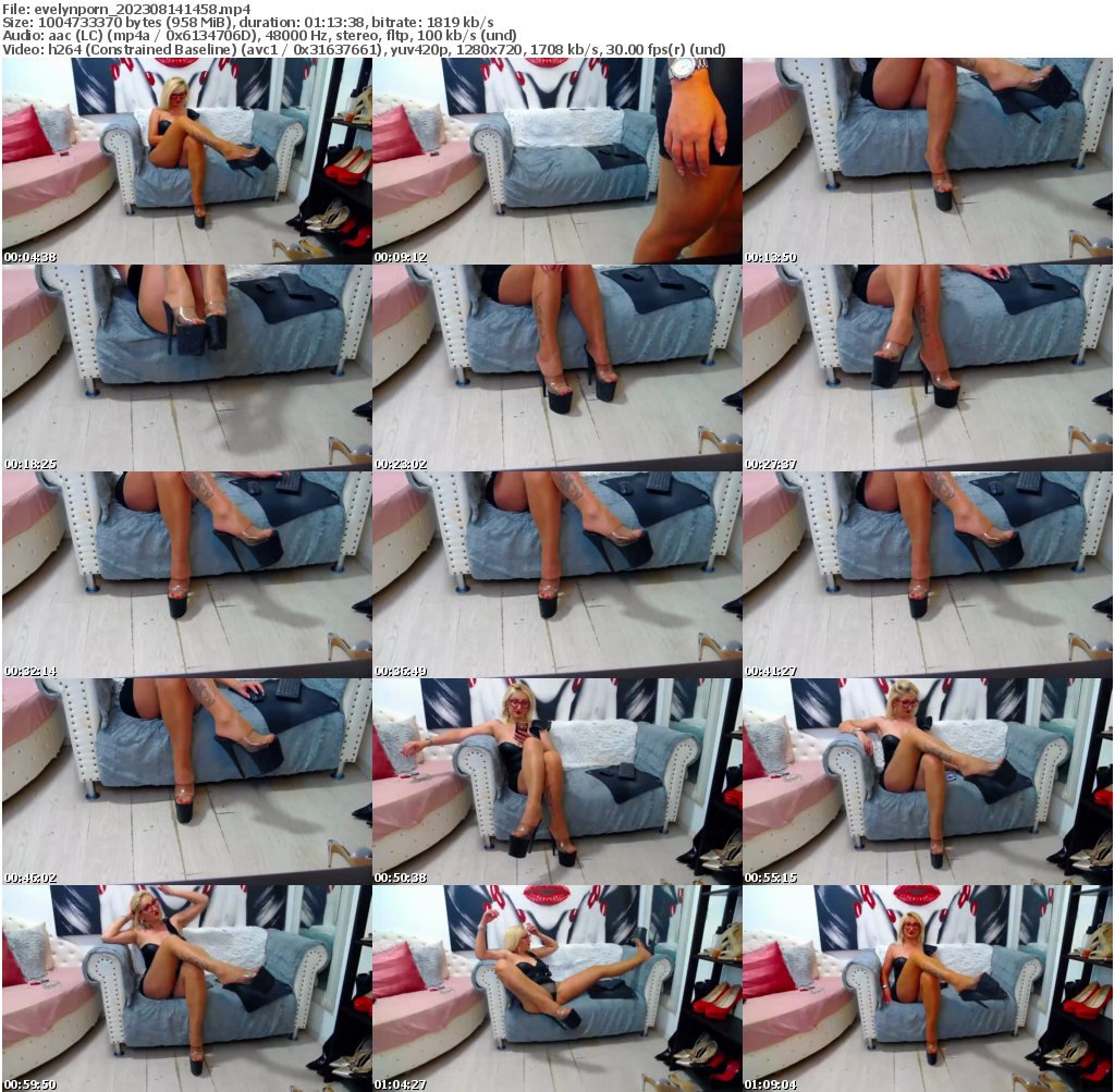 Preview thumb from evelynporn on 2023-08-14 @ bongacams