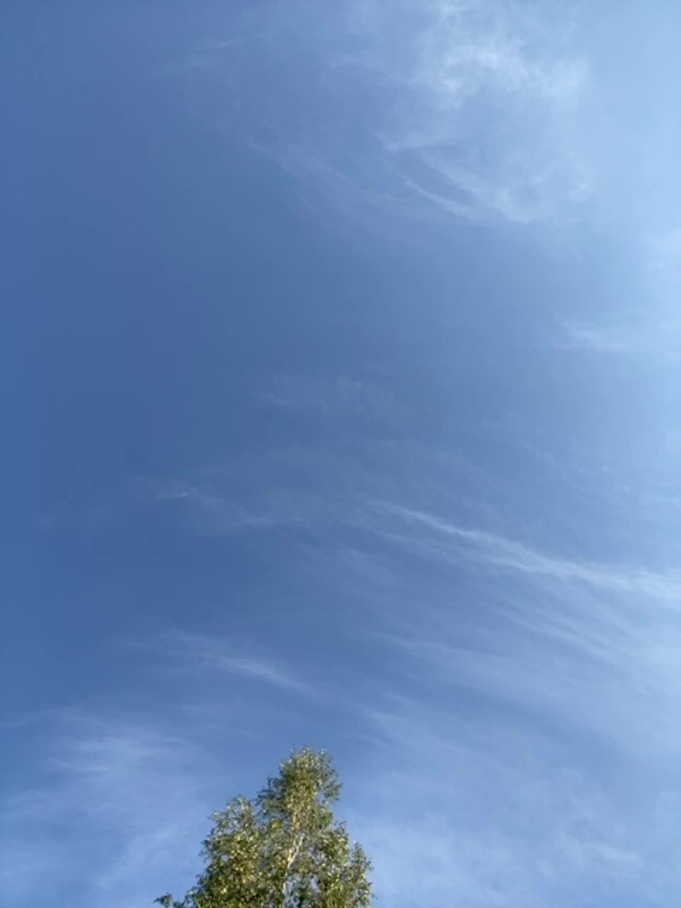 View or download file joylolka on 2023-08-16 from bongacams