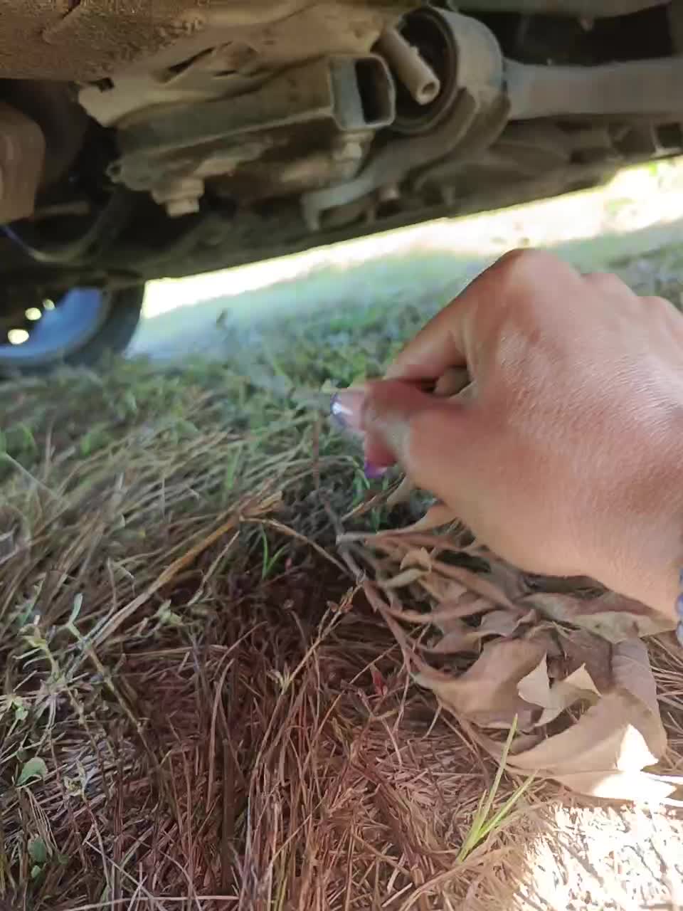 View or download file jessikamur on 2023-08-17 from bongacams