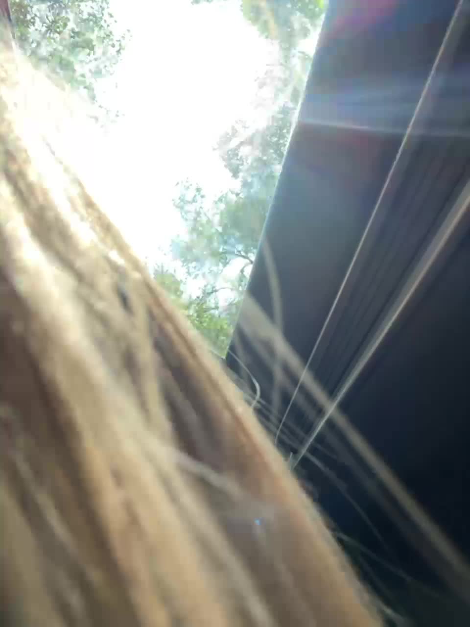 View or download file kirablake on 2023-08-17 from bongacams