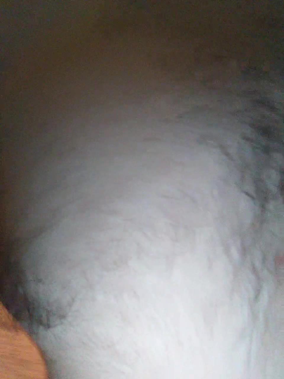 View or download file lilo_stitch on 2023-08-17 from bongacams