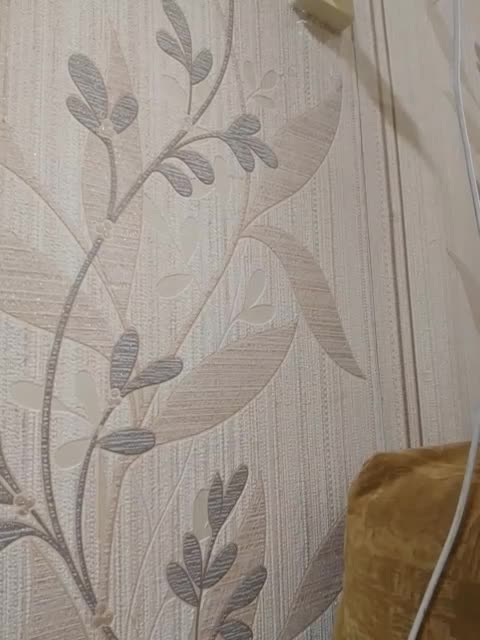 View or download file tomson9719a on 2023-08-17 from bongacams