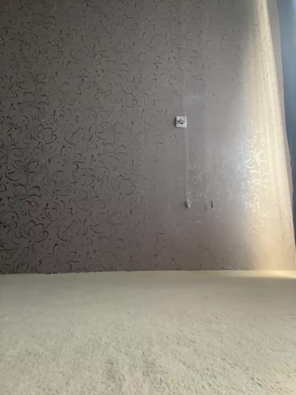 View or download file viki_tiki_tak on 2023-08-17 from bongacams