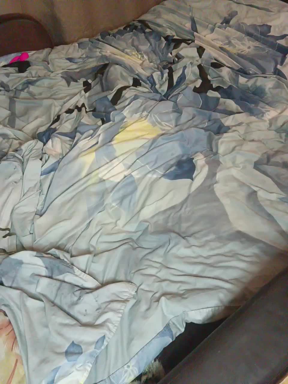 View or download file belsed on 2023-08-19 from bongacams