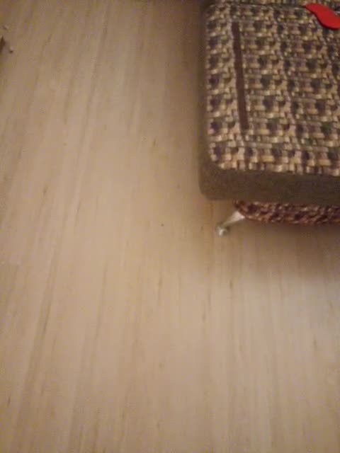 View or download file qwetzero on 2023-08-19 from bongacams