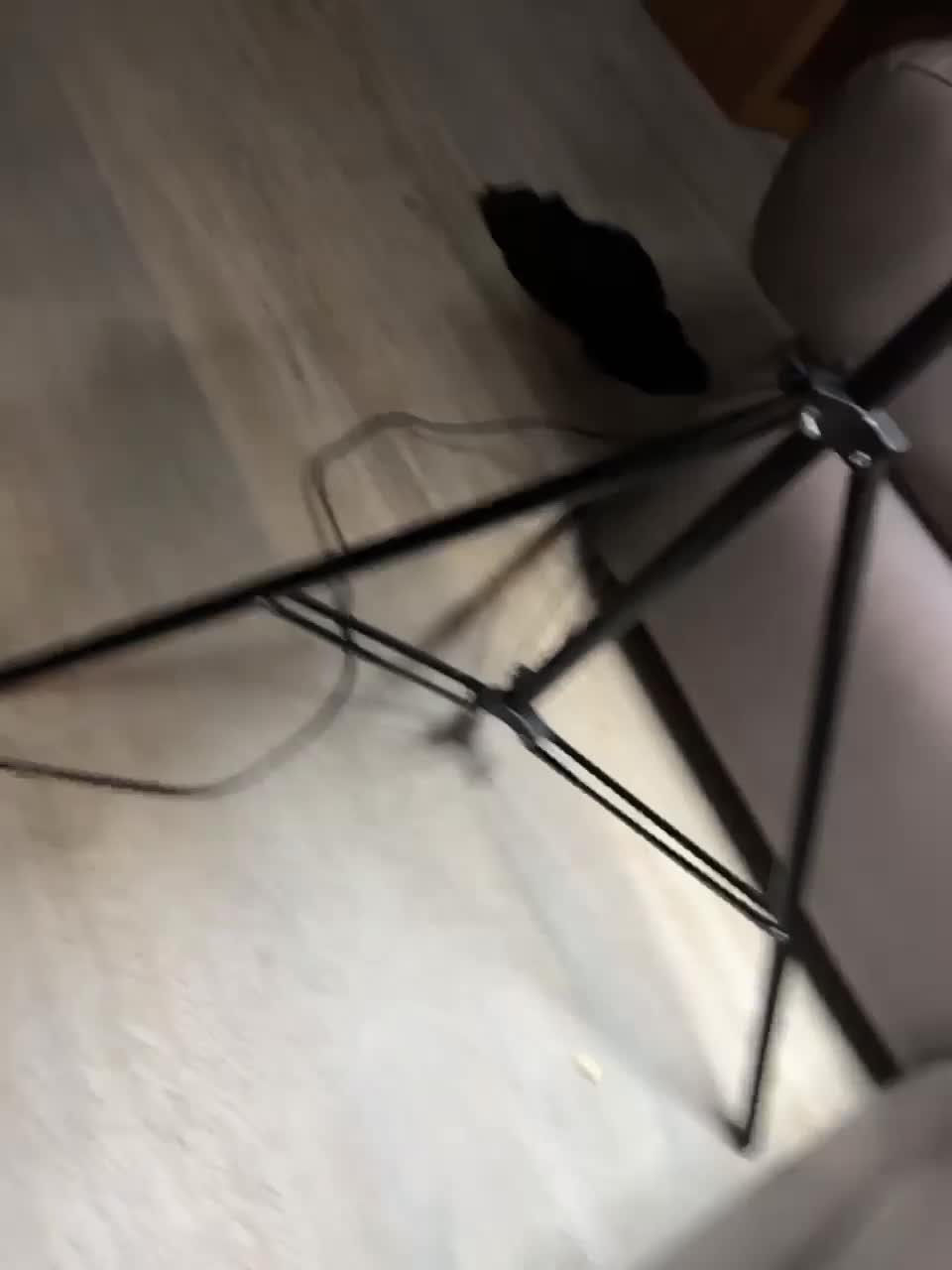 View or download file hotsexwife on 2023-08-23 from bongacams