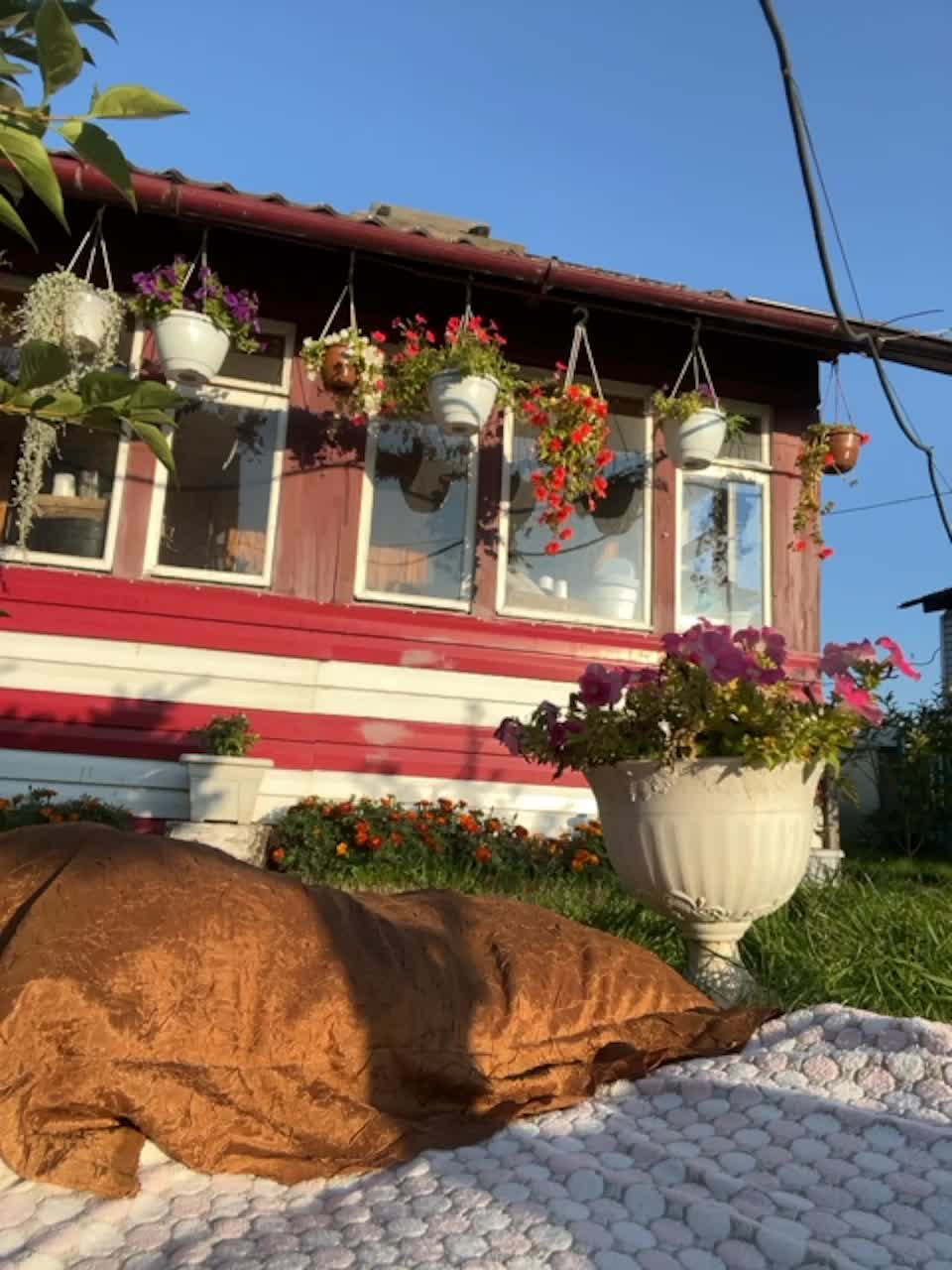 View or download file lady_dee on 2023-08-23 from bongacams