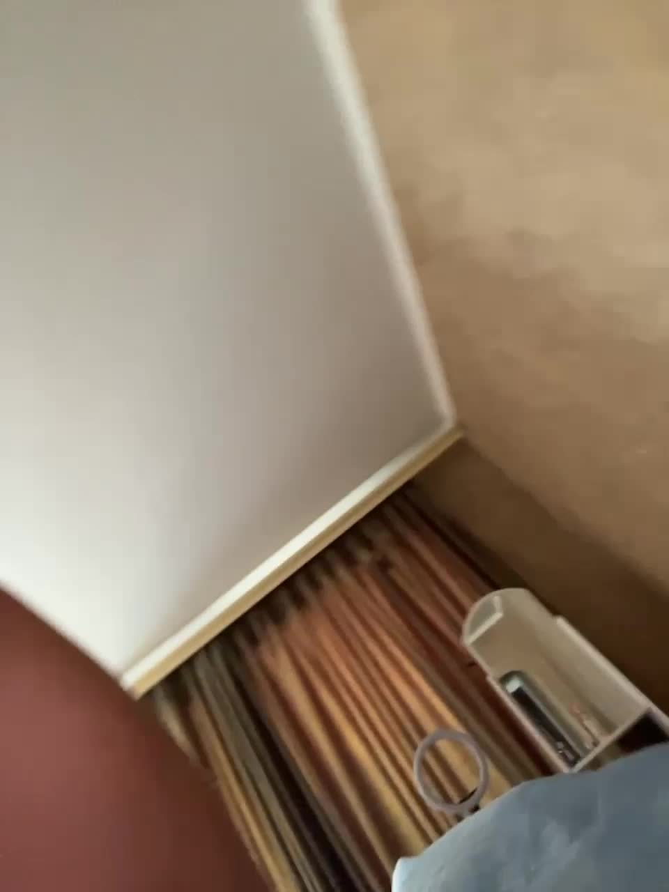 View or download file evgrin666 on 2023-08-24 from bongacams