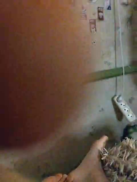 View or download file kyle_sam69 on 2023-08-24 from bongacams