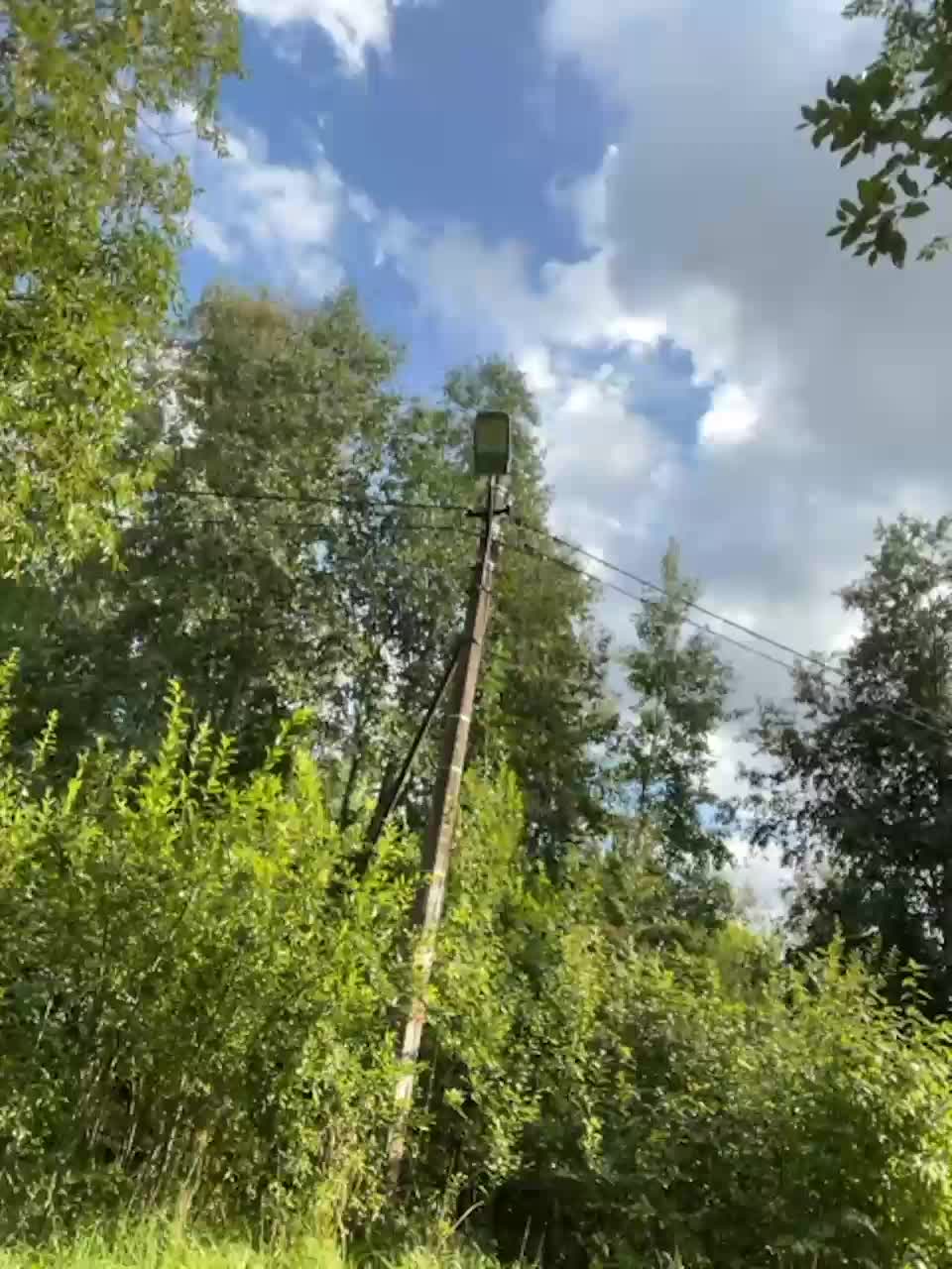 View or download file l4dycandy on 2023-08-24 from bongacams