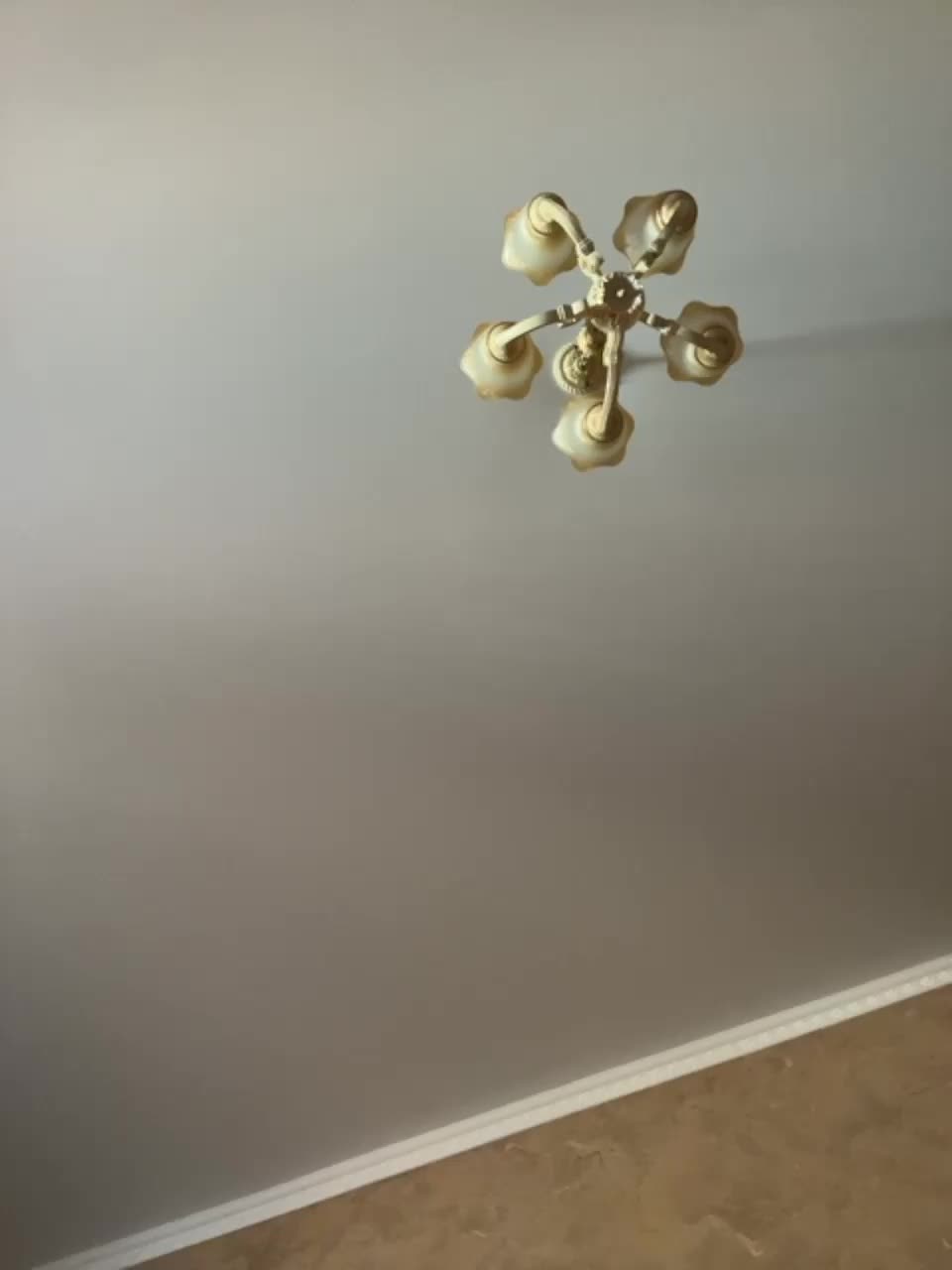 View or download file evgrin666 on 2023-08-26 from bongacams