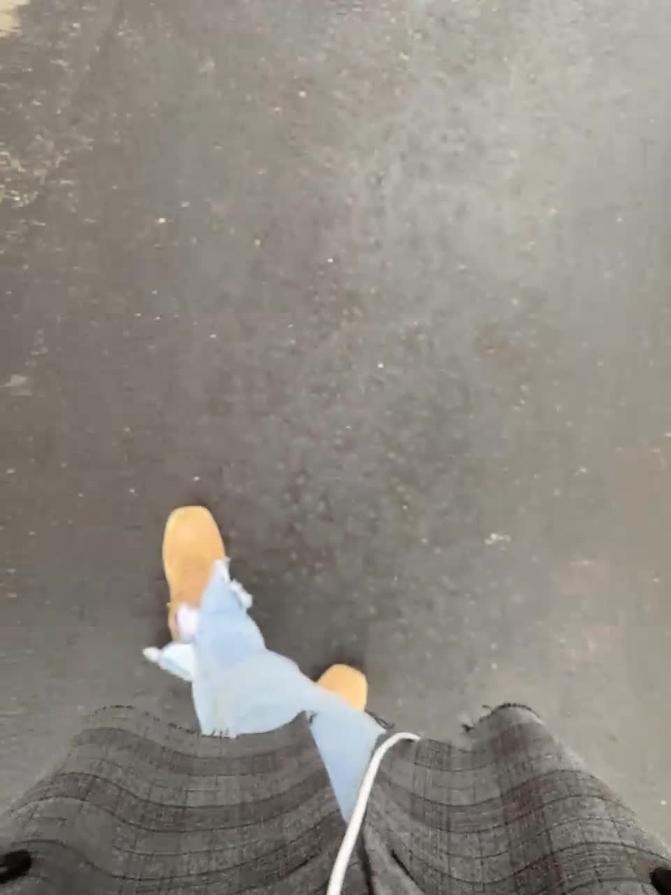 View or download file kirlove1 on 2023-08-26 from bongacams