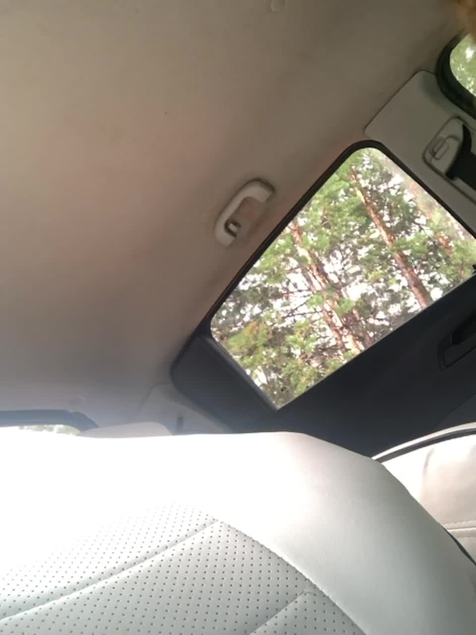 View or download file murkalux on 2023-08-26 from bongacams