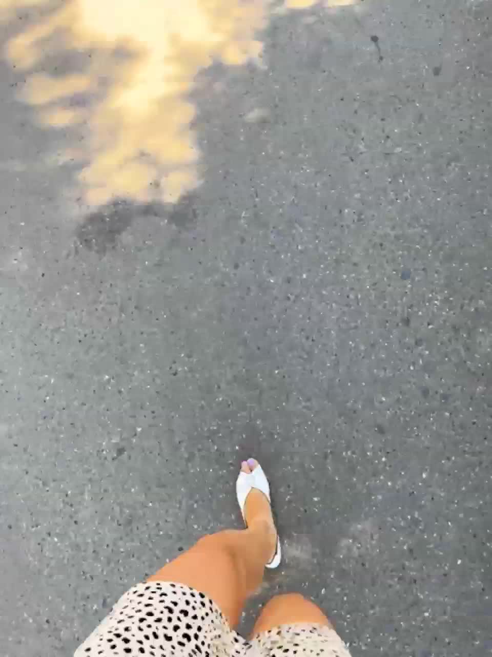 View or download file divora on 2023-08-27 from bongacams