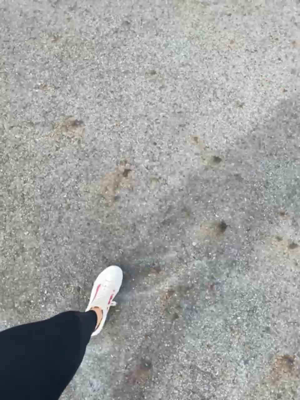 View or download file perssso on 2023-08-30 from bongacams