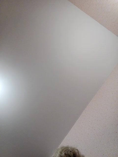 View or download file qwetzero on 2023-08-30 from bongacams