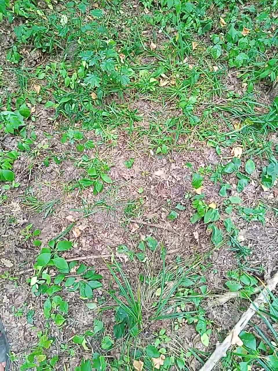 View or download file masya1996 on 2023-09-01 from bongacams