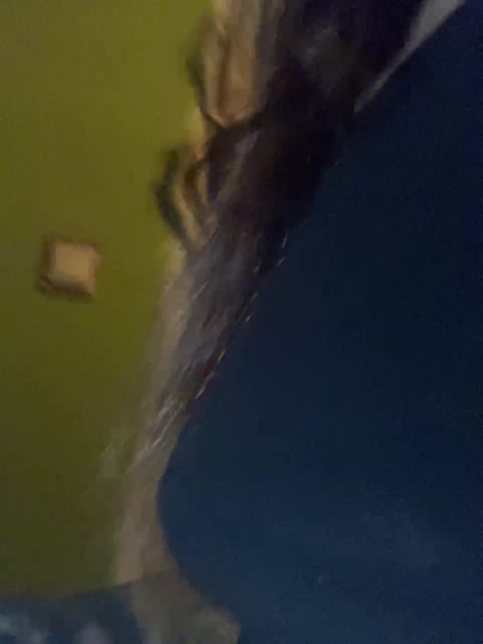 View or download file sferater on 2023-09-06 from bongacams