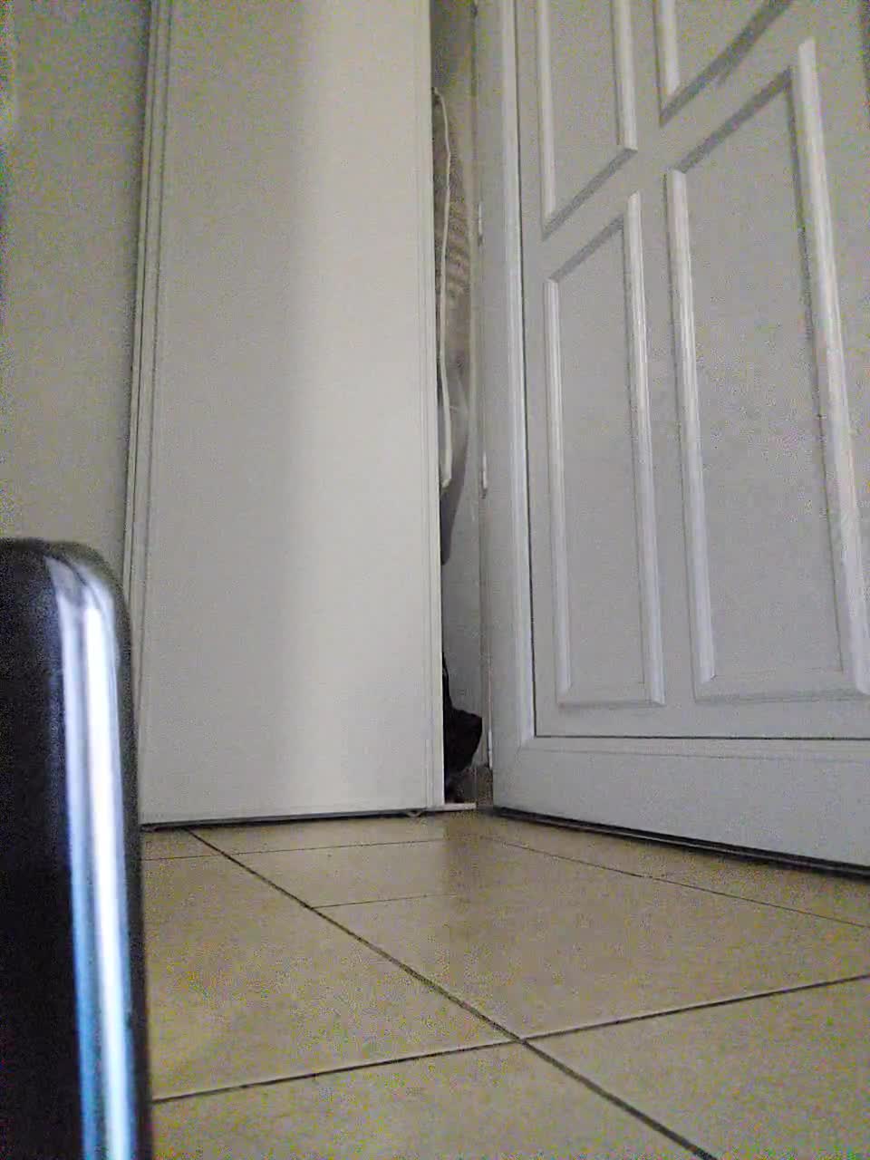 View or download file babygirl1989xxx on 2023-09-10 from bongacams