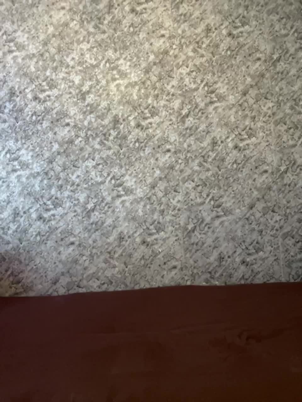 View or download file vii_vii_vii on 2023-09-10 from bongacams