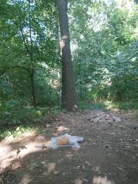 View or download file masya1996 on 2023-09-12 from bongacams