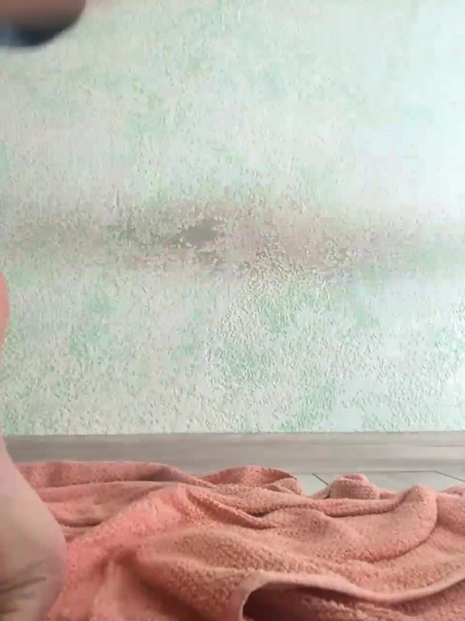 View or download file anitashine on 2023-09-19 from bongacams