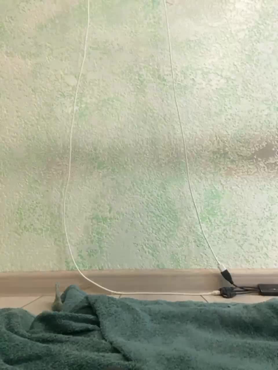 View or download file anitashine on 2023-09-26 from bongacams