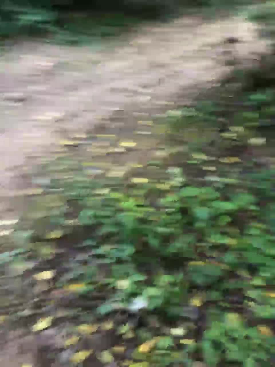 View or download file greata69 on 2023-09-26 from bongacams