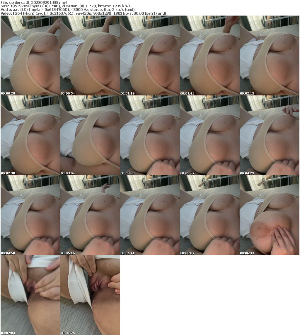 Preview thumb from goldencat0 on 2023-09-29 @ bongacams