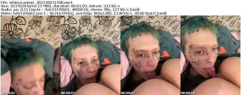 Preview thumb from whimscannon on 2023-10-01 @ bongacams