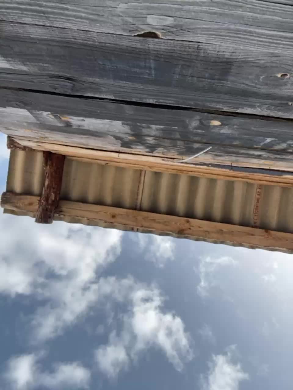 View or download file joylolka on 2023-10-02 from bongacams