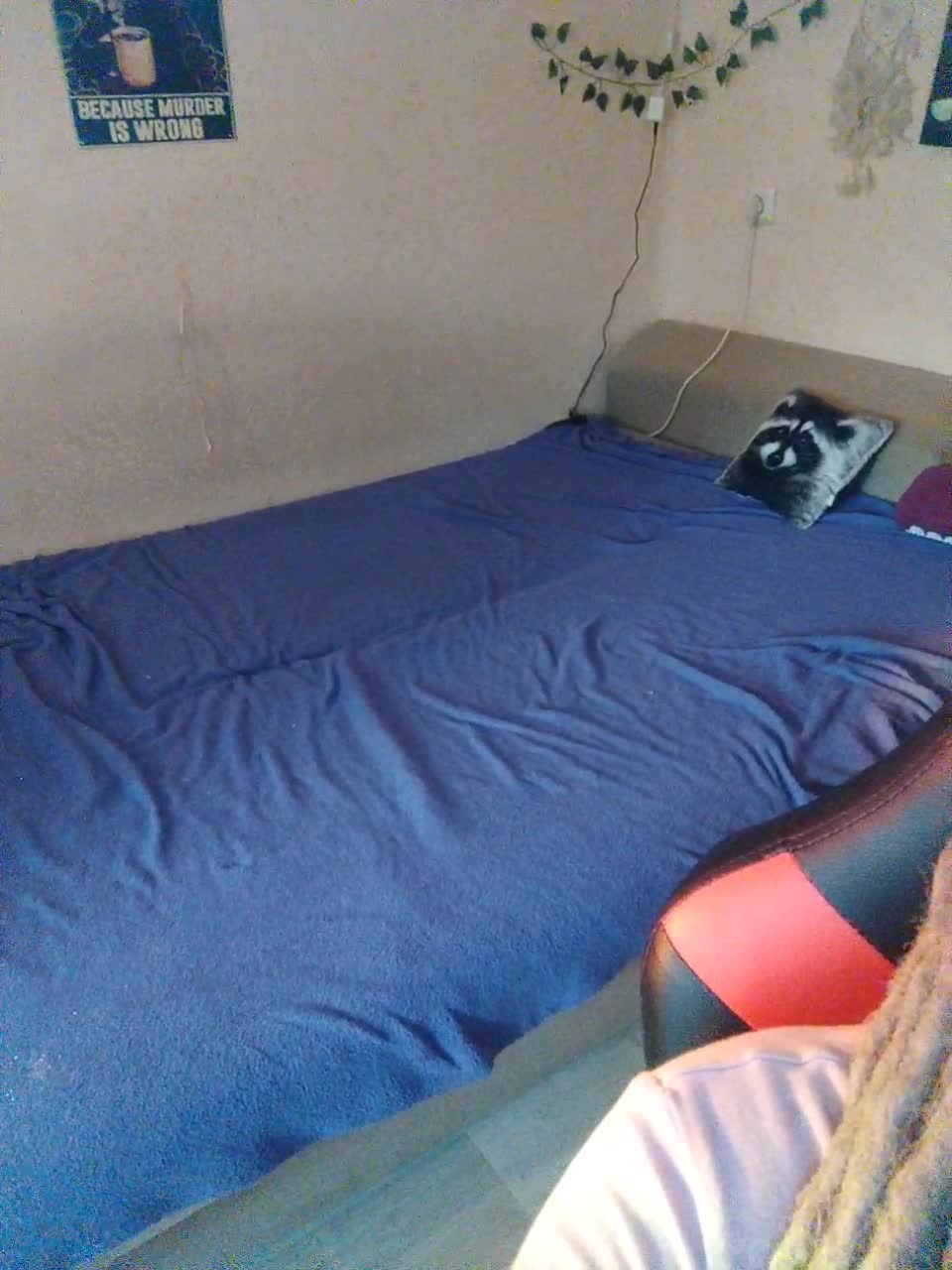 View or download file littledelora on 2023-10-03 from bongacams