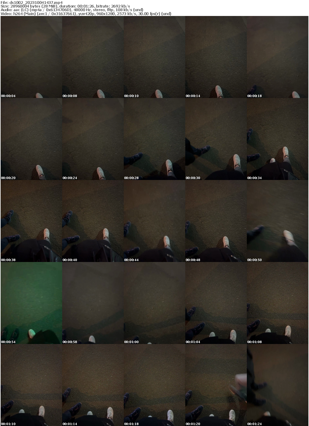 Preview thumb from ds1002 on 2023-10-04 @ bongacams