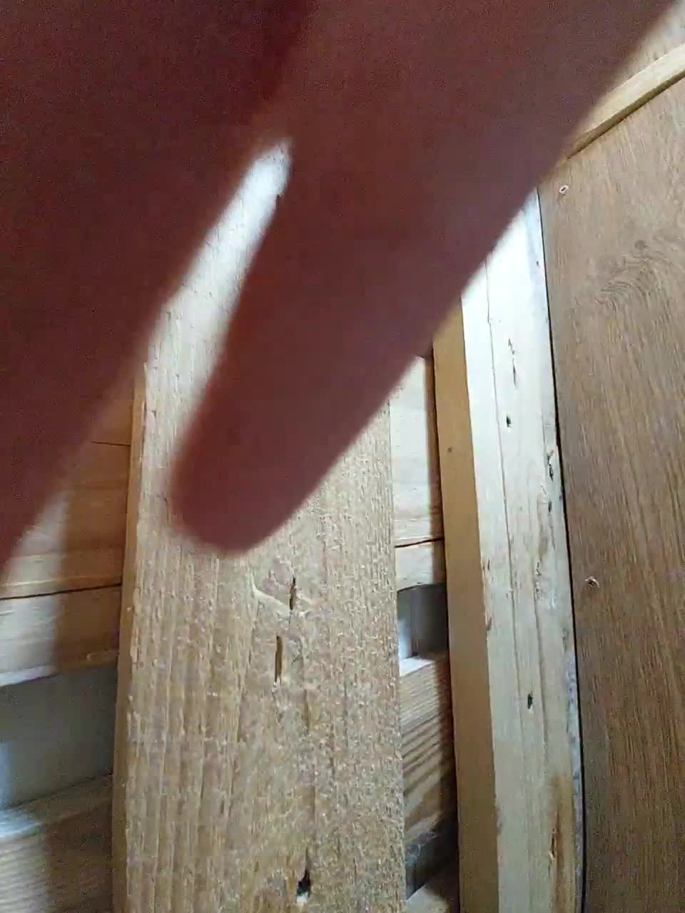 View or download file kkoketkaa on 2023-10-04 from bongacams